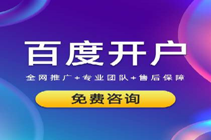 百度SEO推广策略全解析：某企业从零到一的成长历程